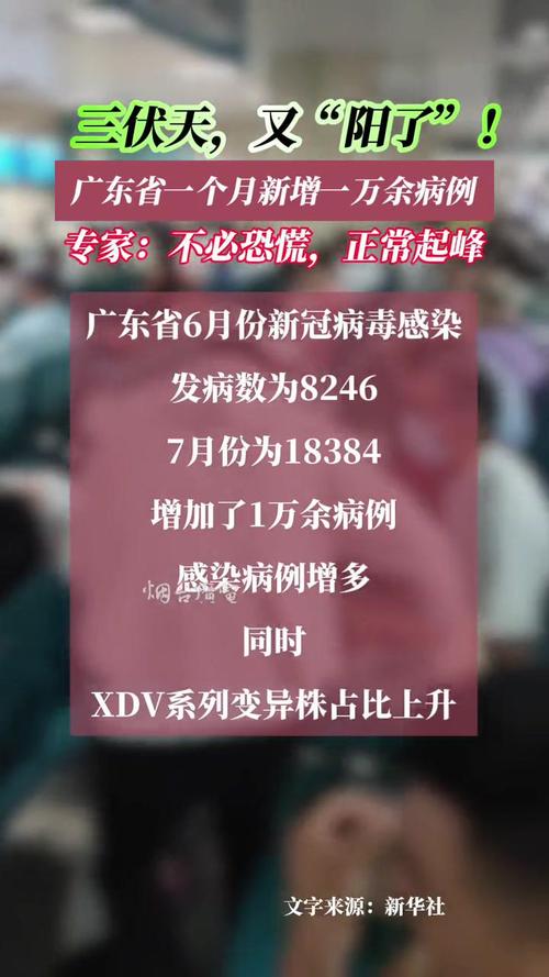 韶关新冠最新变异株传染性极强，关注广东疫情最新消息