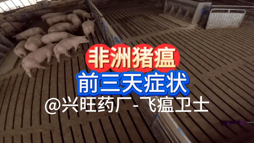 锦州猪瘟疫情最新消息：非洲猪瘟情况全知道
