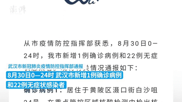 31省新增确诊情况：共22例，本土16例