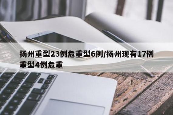 扬州重型病例23例危重型6例情况（含扬州19例重型6例危重型）