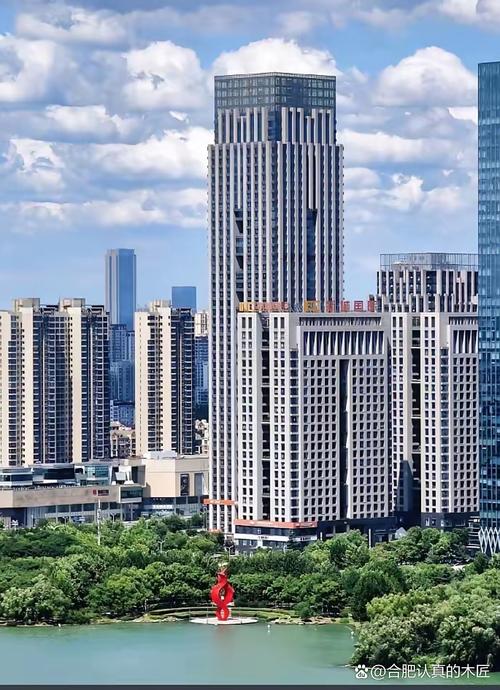 合肥并非唱高调，某些质疑存误读且不够客观，你怎么看？