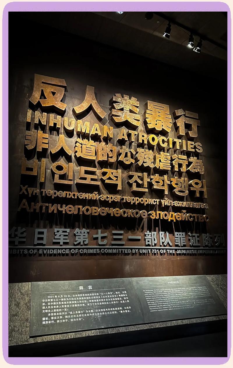 哈尔滨为何总现疫情？病毒特性、731部队及防疫不力或是主因