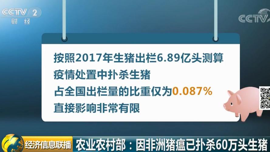农业农村部因非洲猪瘟暂停沈阳生猪调出情况全知道