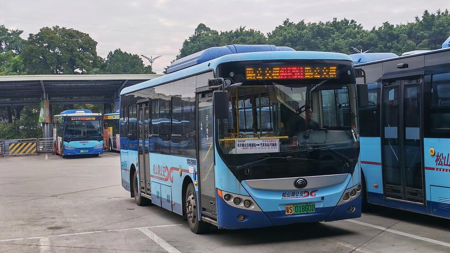 东莞东站公交车最晚时间及途经线路，附Z188次列车停运原因