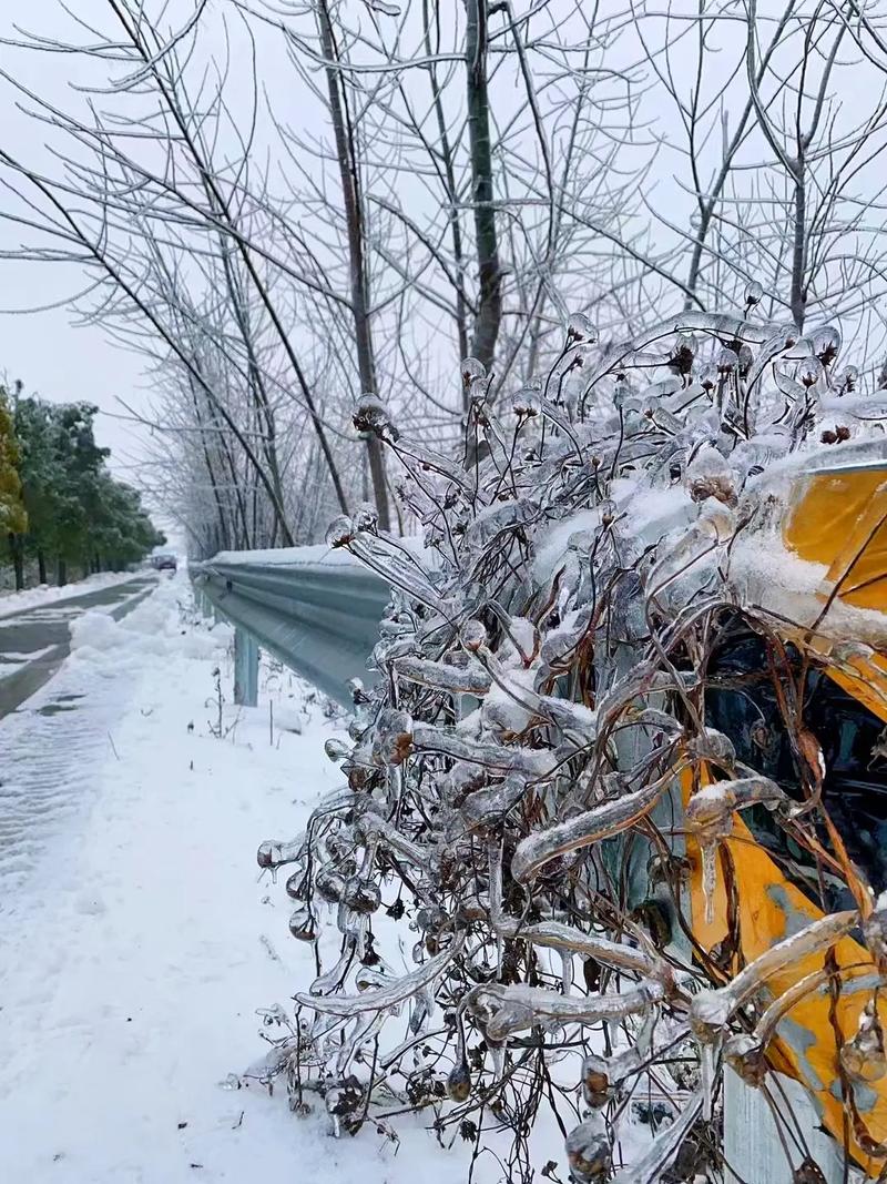 湖北大范围雨雪来袭，市民和农业该做好哪些准备？